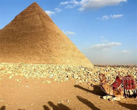 cairo bus tours|THE BEST Cairo Hop.